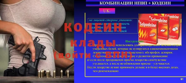 хмурый Гусев