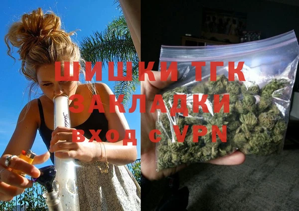 хмурый Гусев