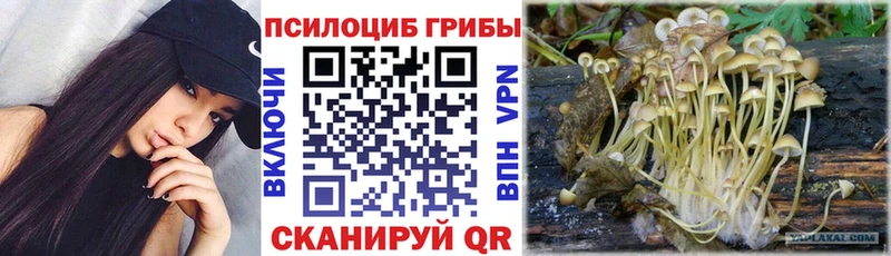 Галлюциногенные грибы Magic Shrooms  как найти   Симферополь 